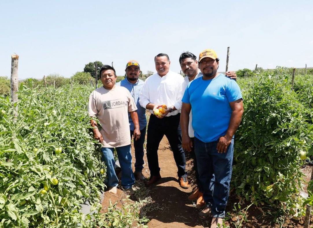 Conociendo las necesidades del campo yucateco: La experiencia aplicada de Mérida a través del programa Círculo 47.