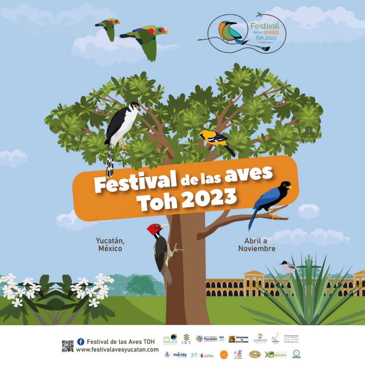 El Festival de las "Aves Toh" es un evento educativo y de ecoturismo organizado por el Gobierno del Estado de Yucatán en colaboración con diversas instituciones y organizaciones