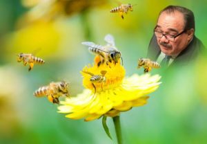 Ramírez Marín firme defensor de las abejas