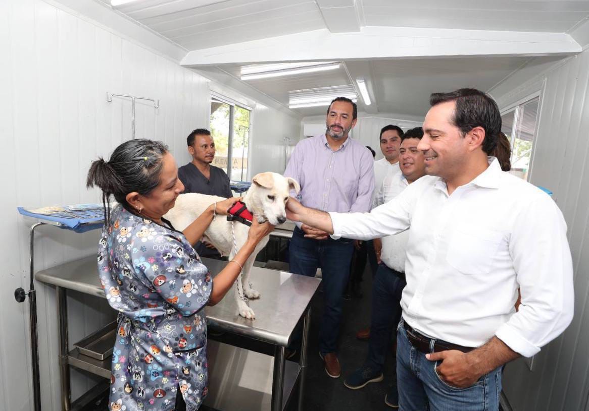 Con el fin de promover el bienestar de los animales y garantizar su protección, el Gobernador Mauricio Vila Dosal presentó el proyecto Peek' Friendly, 